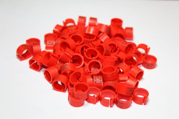 Anillos Marcadores para Aves - Color Rojo