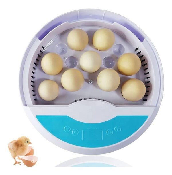 ncubadora De Huevos Digital Automática 9 Huevos Para Niños - Pollo - codorniz común