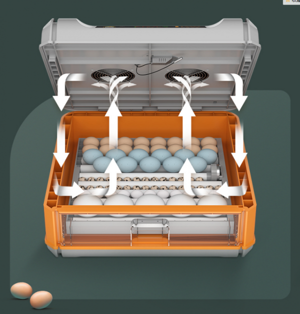 Incubadora Automática 176 Huevos con Doble Pared Difusora