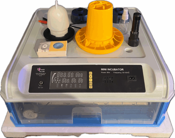 Incubadora Automática 64 Huevos con Doble Pared Difusora modelo 2025