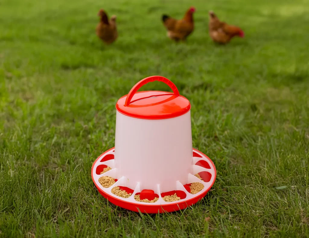 Comedero tolva rojo en corral de pollos con beneficios para alimentación avícola
