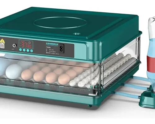 1282