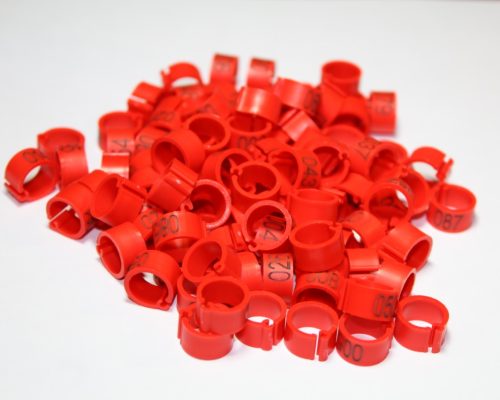 Anillos Marcadores para Aves - Color Rojo