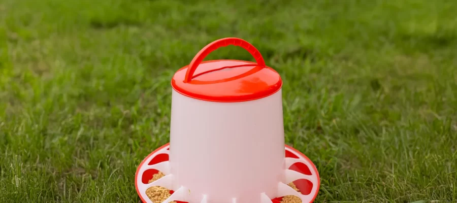 Comedero tolva rojo en corral de pollos con beneficios para alimentación avícola