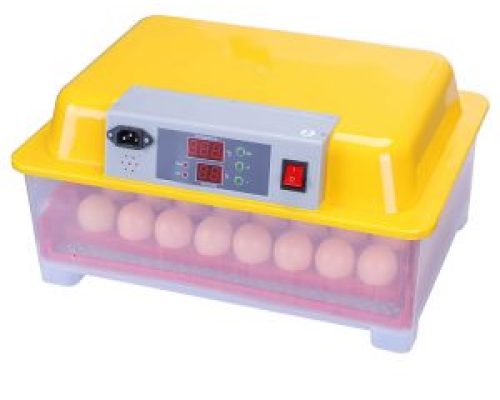 Incubadora Automática 24 Huevos Voleo Automático Doble Voltaje - Pollo - Incubadora