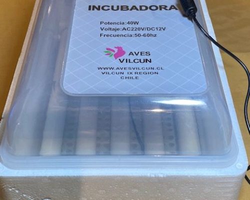 Incubadora Automática 18 Huevos Volteo Automático Doble Voltaje - Incubadora Automática - fácil